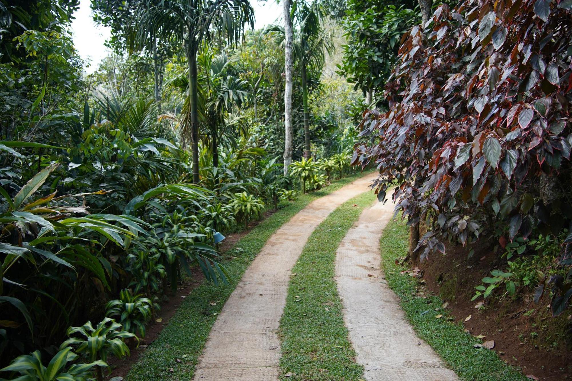Blanket Days Resort And Spa Thekkady Bagian luar foto